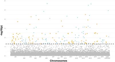 Exploring epigenetic drift and rare epivariations in amyotrophic lateral sclerosis by epigenome-wide association study